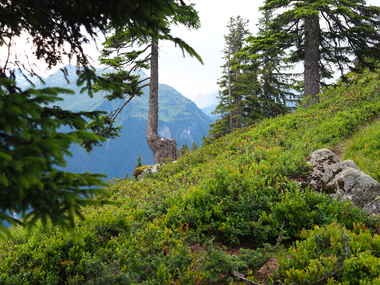 © Roland Fritsch / Montafon