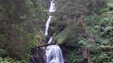 © Elisa Schöllhorn