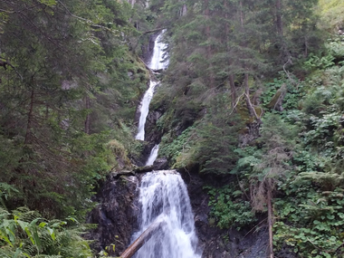 © Elisa Schöllhorn