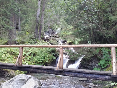 © Elisa Schöllhorn