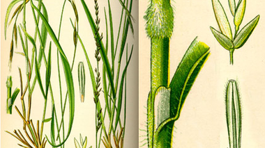 © Julia Mangeng / Projekt Loccata