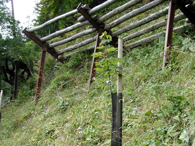 © Julia Mangeng / Projekt Loccata