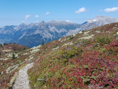 © Elisa Schöllhorn / Montafon