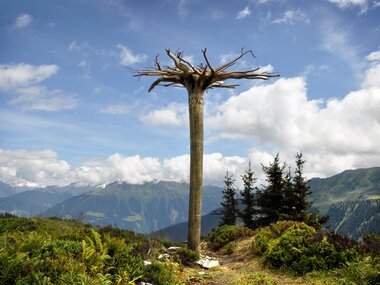 © Ines Agostinelli & Roland Haas / Montafon