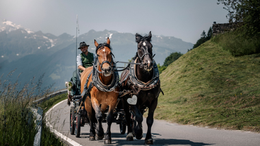 © Nina Fritz / herz.bur