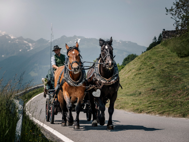 © Nina Fritz / herz.bur