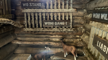 © Roland Fritsch / Montafon