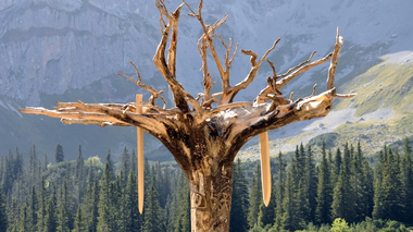 © Christina Wachter / www.kfm.at