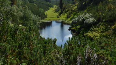 © Christina Wachter