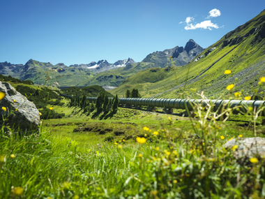 © Elisa Schöllhorn