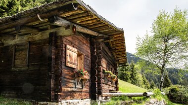 © Niclas Bösch