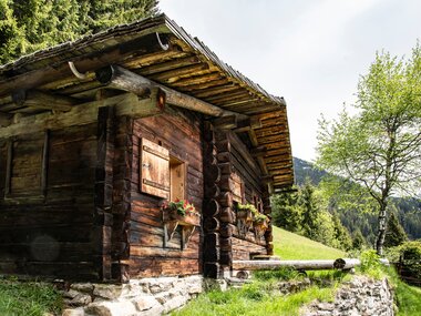 © Niclas Bösch
