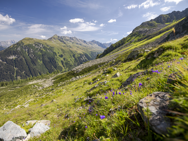 © Stefan Kothner / Montafon