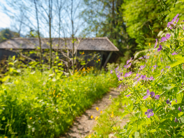 © Stefan Kothner / Montafon