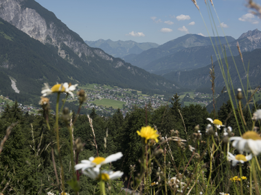 © Elisa Schöllhorn