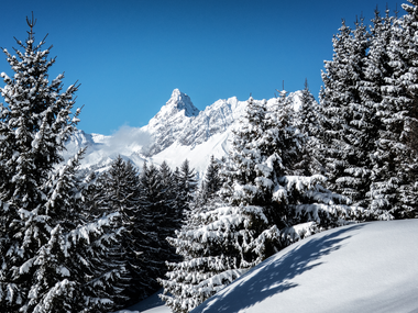 © Andreas Haller / Montafon