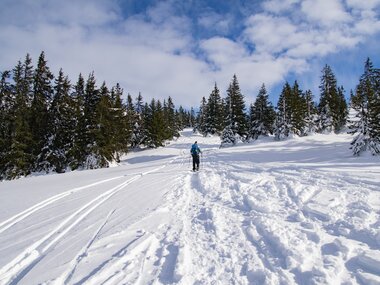 © Andreas Haller / Montafon