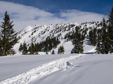 © Andreas Haller / Montafon