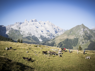 © Christina Wachter