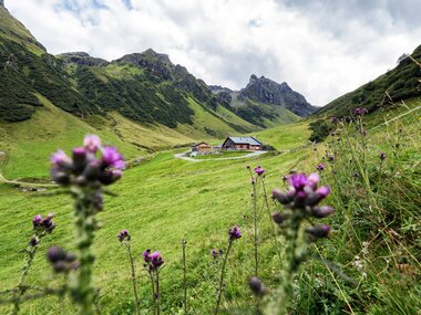 © Andreas Haller / Montafon