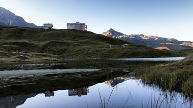 © Elisa Schöllhorn