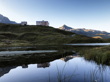 © Elisa Schöllhorn