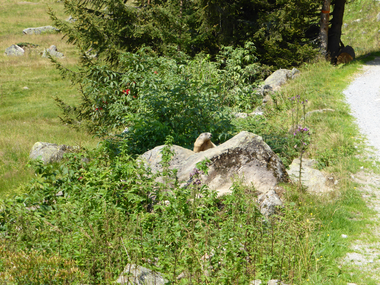 © Christina Wachter / Montafon