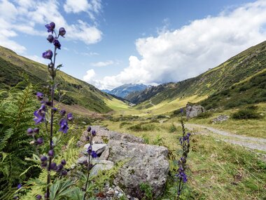 © Stefan Kothner / Montafon