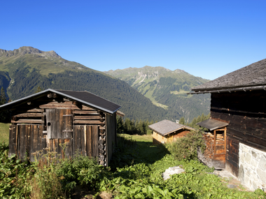 © Elisa Schöllhorn