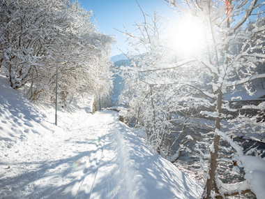 © Andreas Haller / Montafon
