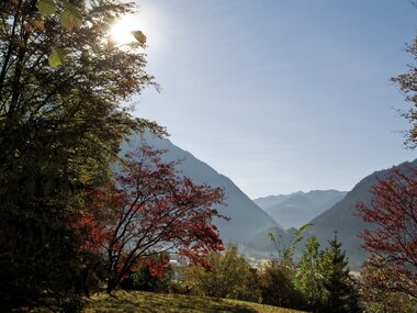 © Roland Fritsch / Bartholomäberg Tourismus_Rochau