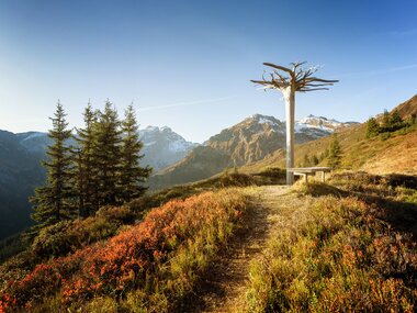 © Montafon Tourismus GmbH, Andreas Haller