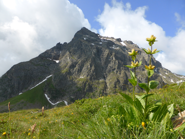 © Christina Wachter