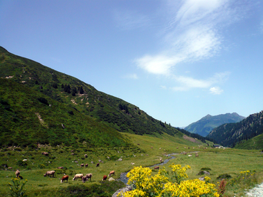 © Christina Wachter