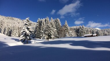 © Montafon