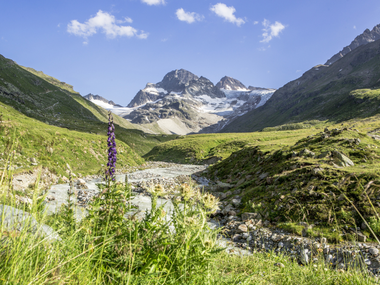 © Stefan Kothner / Montafon Tourismus GmbH