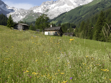 © Patrick Säly / Montafon