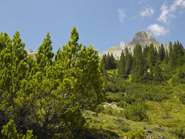 © Alex Kaiser / Montafon