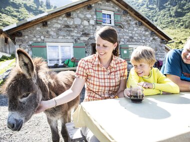 © Elisa Schöllhorn