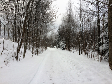 © Christina Wachter / Montafon