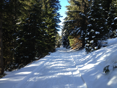 © Julia Mangeng / Montafon