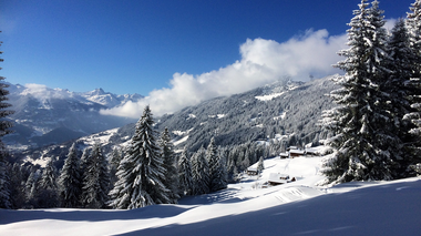 © Christina Wachter / Montafon