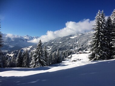 © Christina Wachter / Montafon