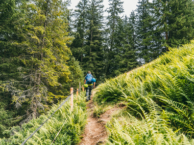 © Packyourthingsandtravel / Montafon