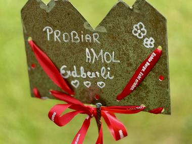 © Sophie Haarer / Montafon