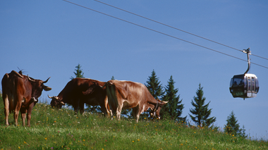 © Markus Fessler-Jenny / Illwerke Tourismus