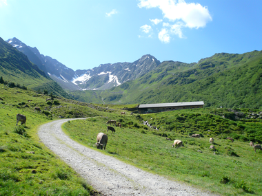 © Montafon Tourismus GmbH_Christina Wachter