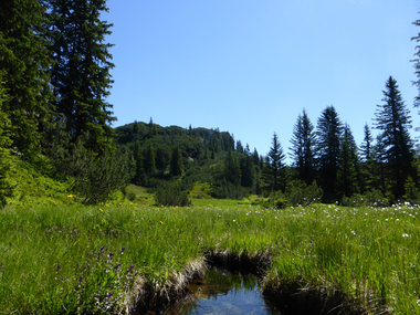 © Montafon Tourismus - Christina Wachter