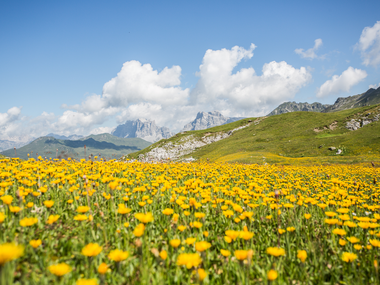 © Daniel Zangerl / Montafon