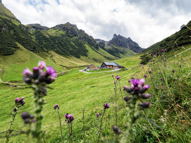 © Elisa Schöllhorn